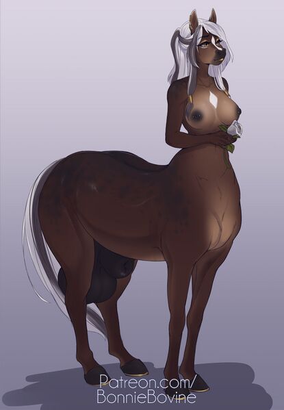 File:Equine Maiden.jpg